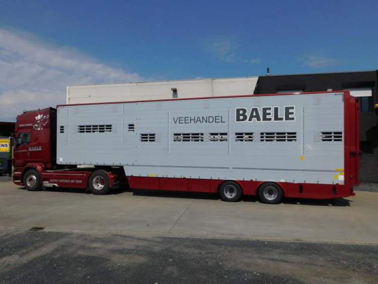 trailer / oplegger Pezzaioli - oplegger voor veevervoer - dierenvervoer - Baetens laadbrug op maat - aangepaste binnendeuren