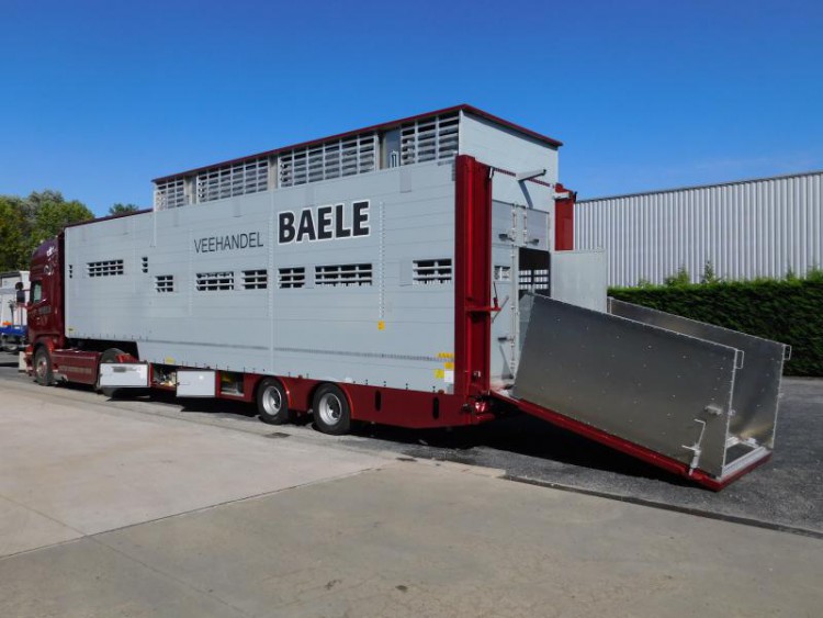 trailer / oplegger Pezzaioli in Belgie - oplegger voor veevervoer - dierenvervoer - Baetens laadbrug op maat - aangepaste binnendeuren